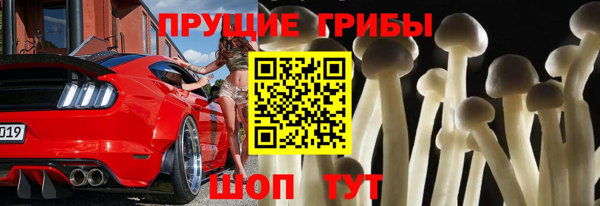 Псилоцибиновые грибы MAGIC MUSHROOMS Партизанск
